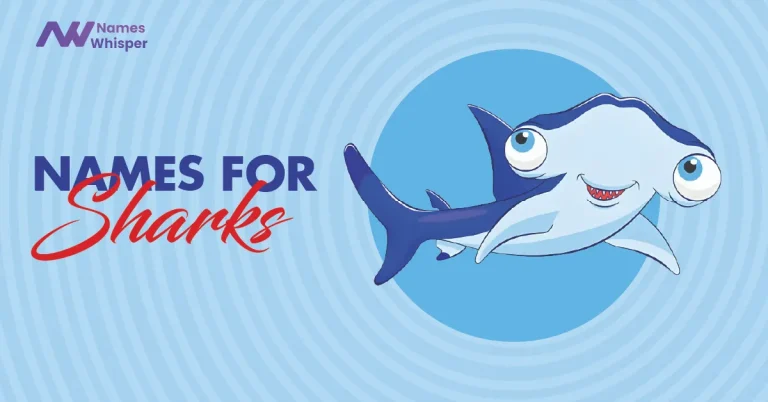 Funny Shark Names