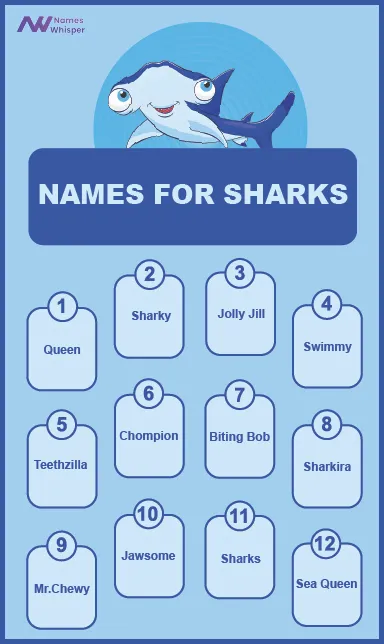 names for sharks