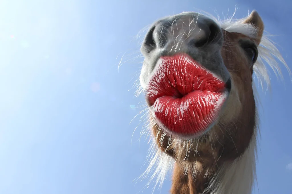 Funny Female Horse Names