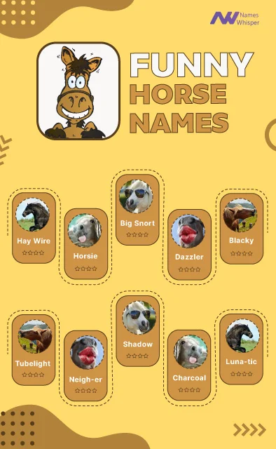 horse names