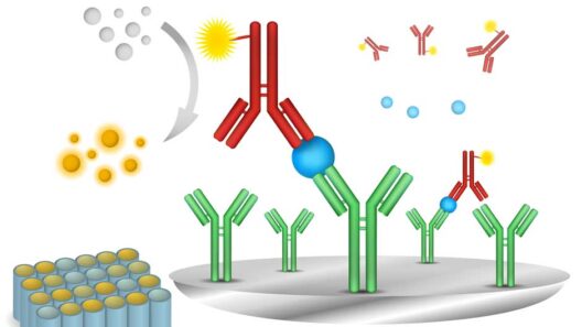 7 Ways to Diagnose Problems with Your ELISA Results