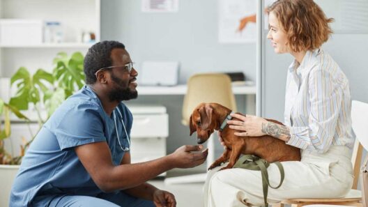 How Veterinary Consultants Support Mental Health in Animal Care Professionals