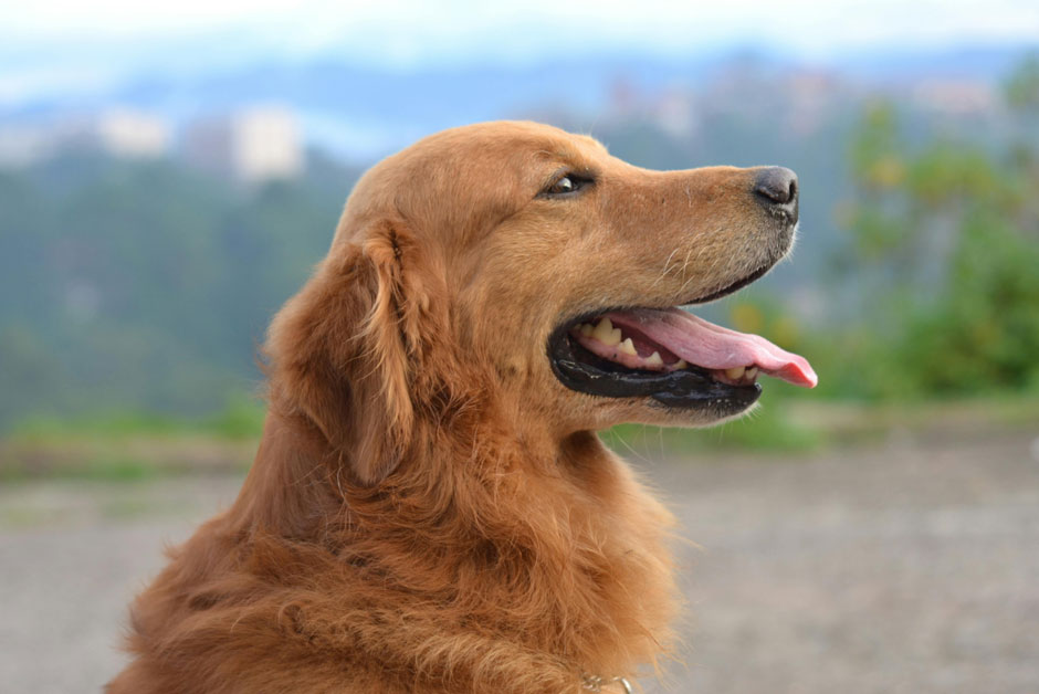 How to Preserve Memories Through Thoughtful Design